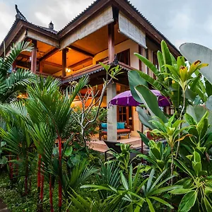Mangku In Ricefield , Ubud (Bali) Indonesia